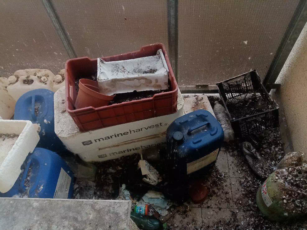 Vyklízecí práce Ostrava